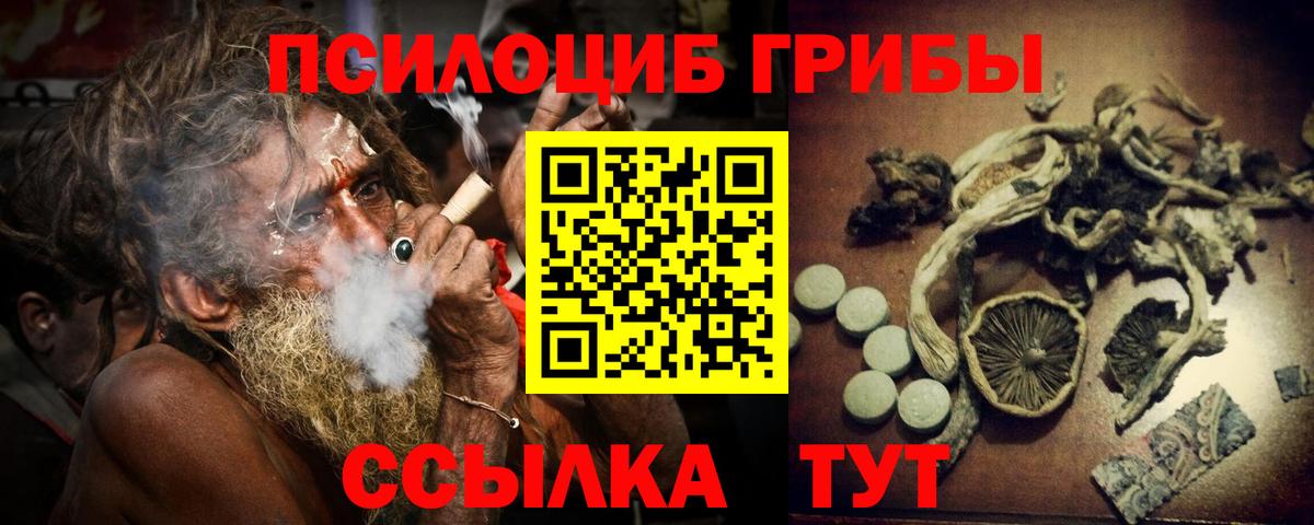 Дальнереченск  Псилоцибиновые грибы MAGIC MUSHROOMS  Вход с VPN  Псилоцибиновые грибы GOLDEN TEACHER 