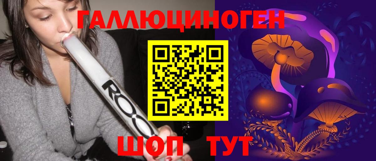 Галлюциногенные грибы Psilocybine cubensis Дальнереченск